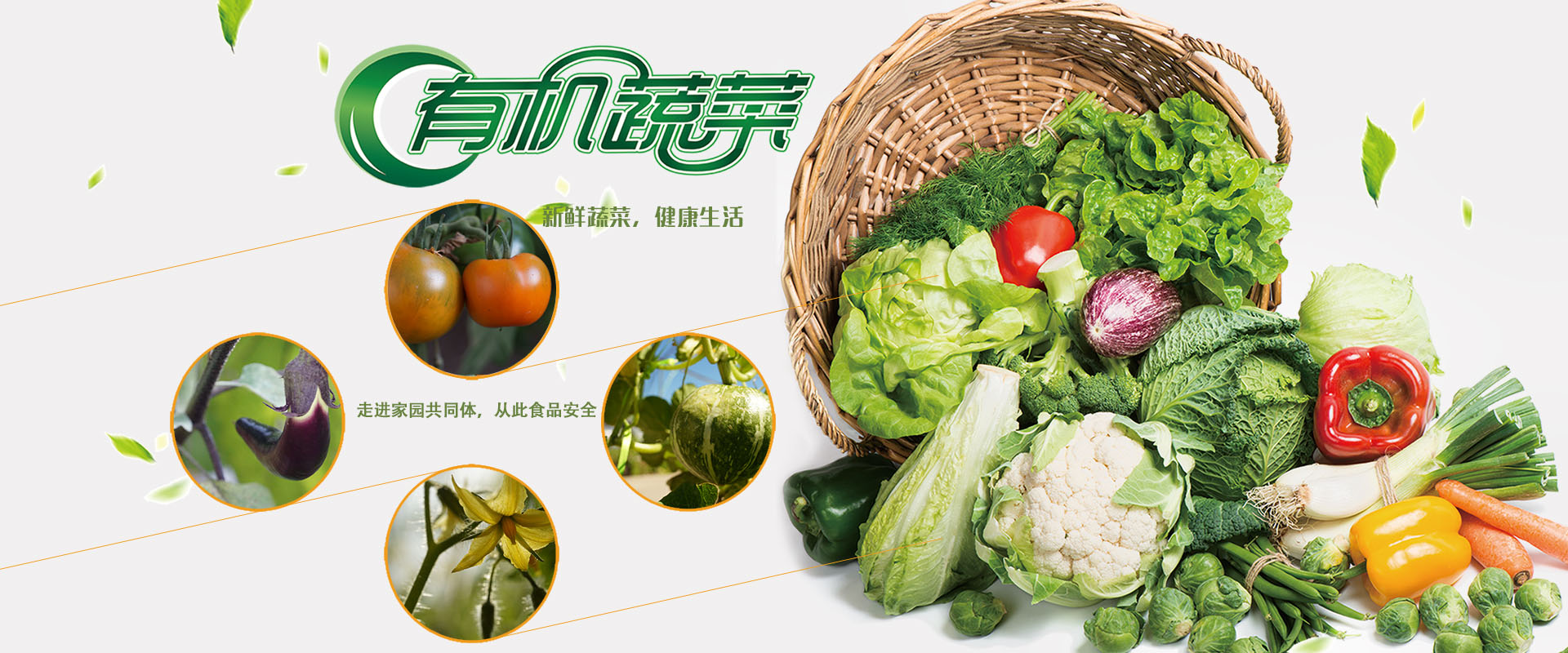 夏天蔬菜这样买，每个月能省上百元，收了！ | 自由微信 | FreeWeChat